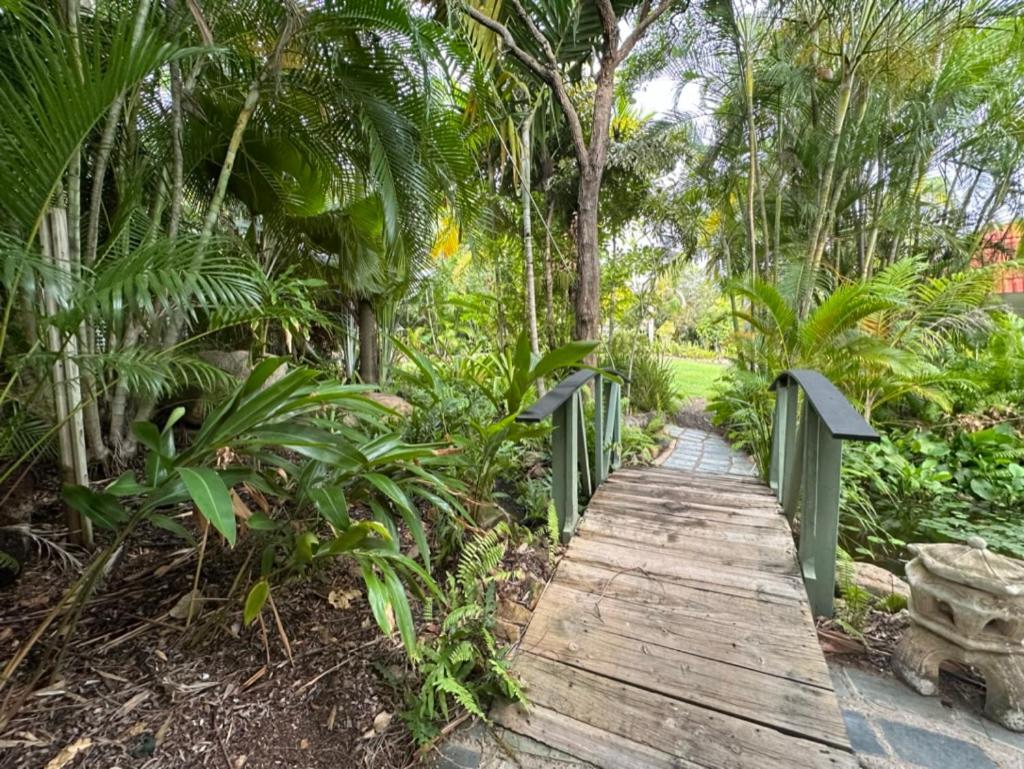 Magnetic Island Resort Studio Nelly Bay Exteriör bild